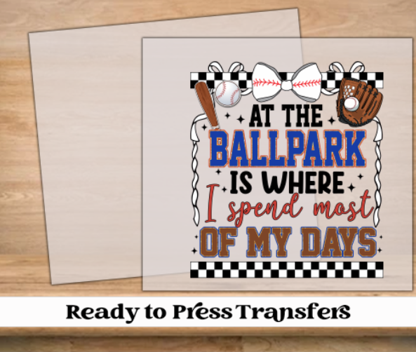 At The Ballpark Baseball DTF Transfer