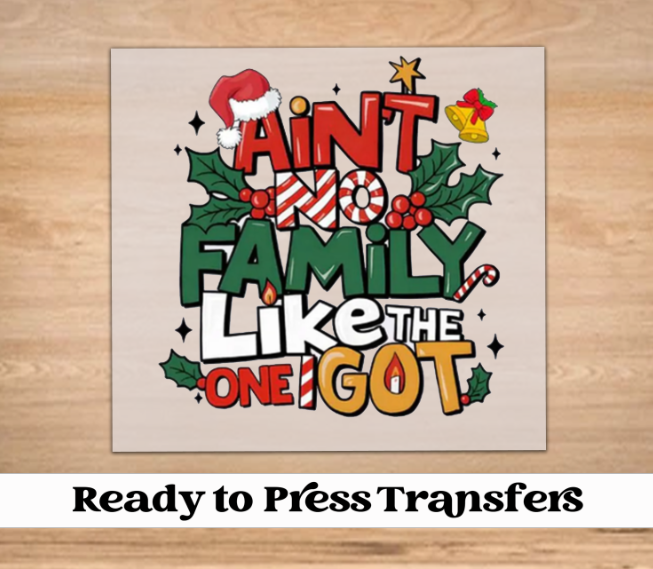 Christmas Aint No Family Like The One I Got DTF Transfer