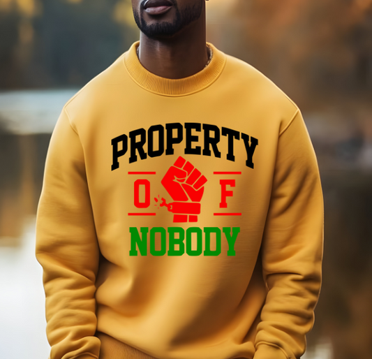 Property of Nobody DTF Transfer