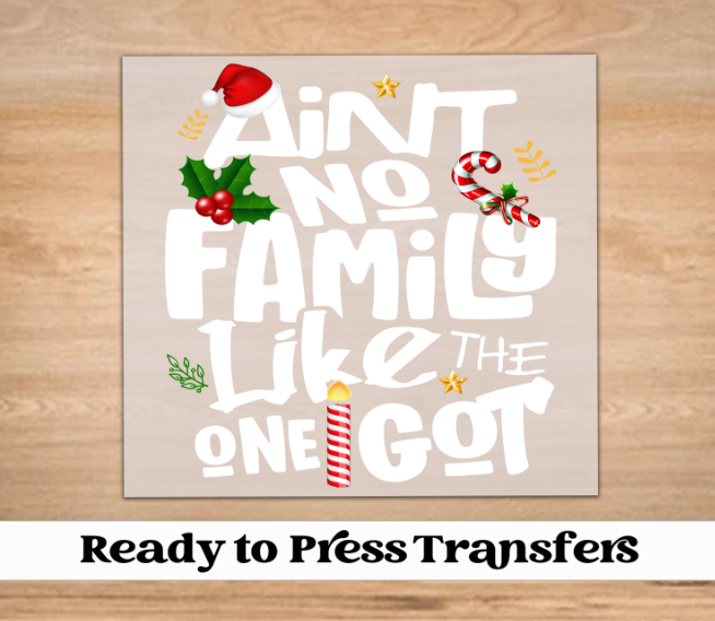Aint No Family Like The One I Got Christmas DTF Transfer
