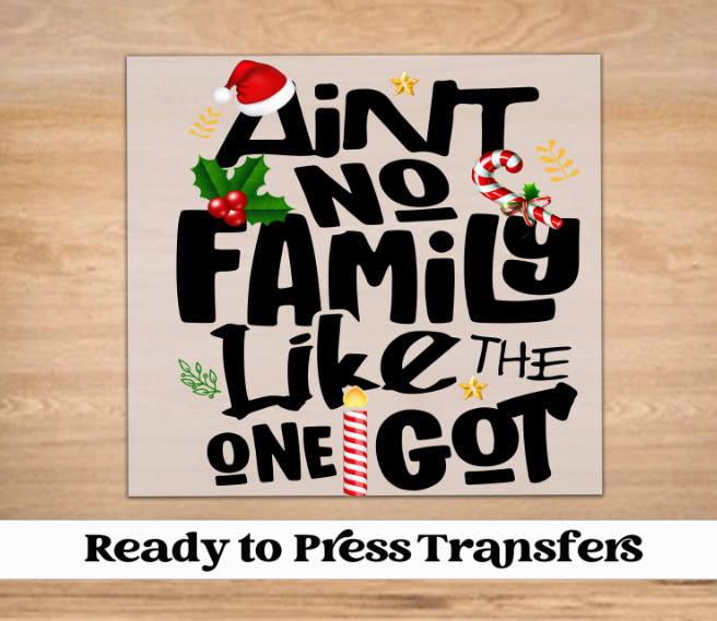 Aint No Family Like The One I Got Christmas DTF Transfer
